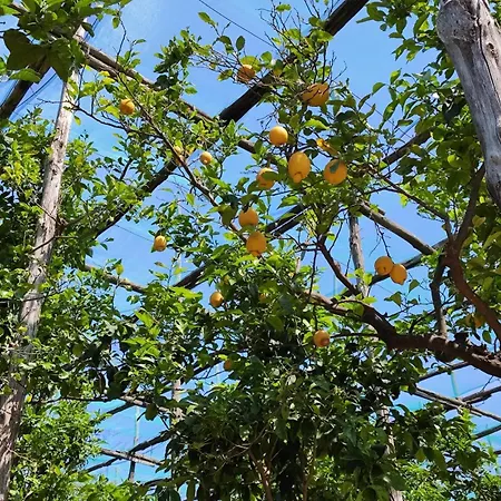 J'adore Lägenhet Sorrento