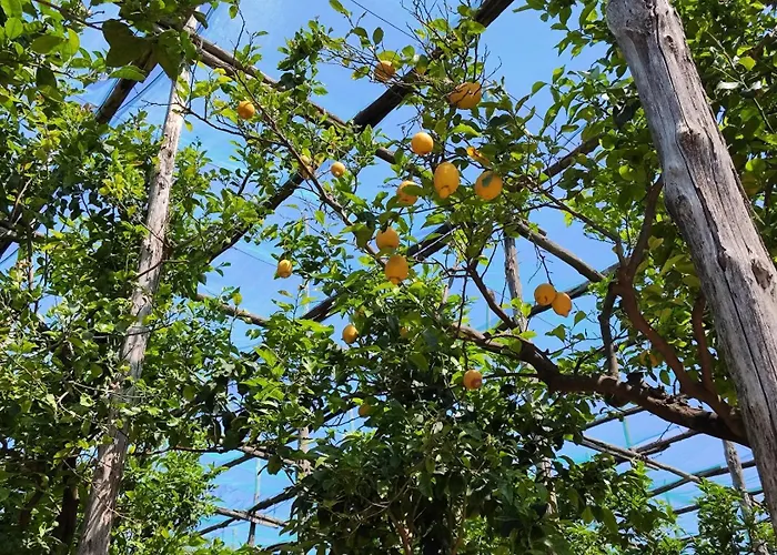 J'adore شقة سورينتو